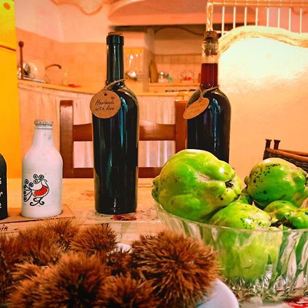サッサリCasa Ele - Casa Indipendente Con Cucina - Bikes Friendlyアパートメント エクステリア 写真